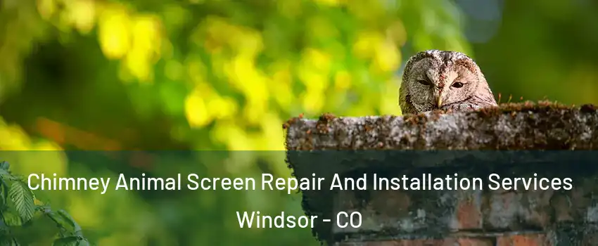  Chimney Animal Screen Repair And Installation Services Windsor - CO