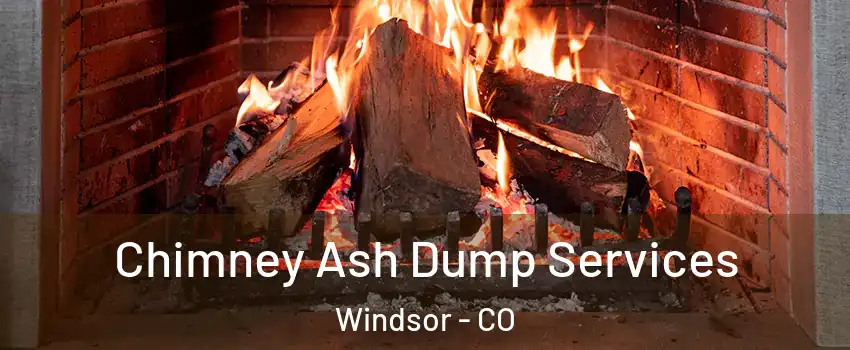  Chimney Ash Dump Services Windsor - CO