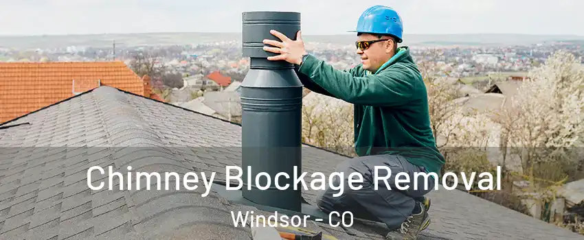  Chimney Blockage Removal Windsor - CO
