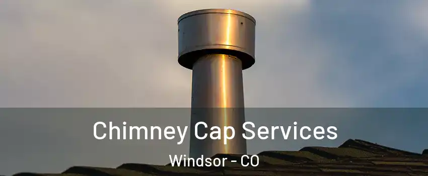  Chimney Cap Services Windsor - CO