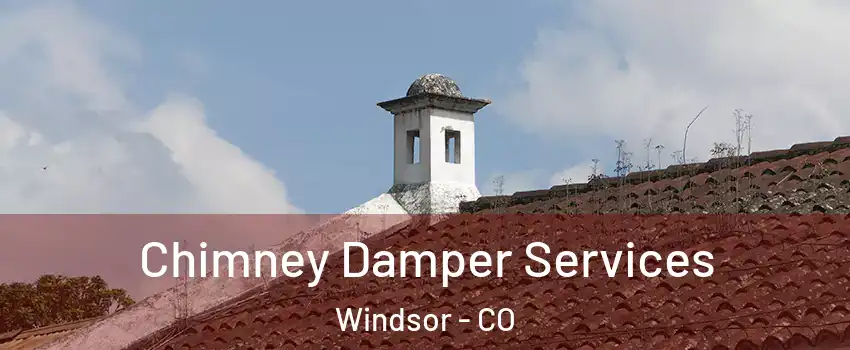  Chimney Damper Services Windsor - CO