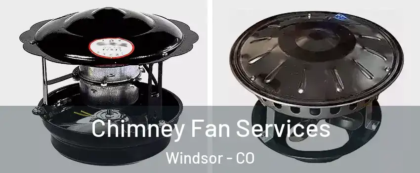  Chimney Fan Services Windsor - CO