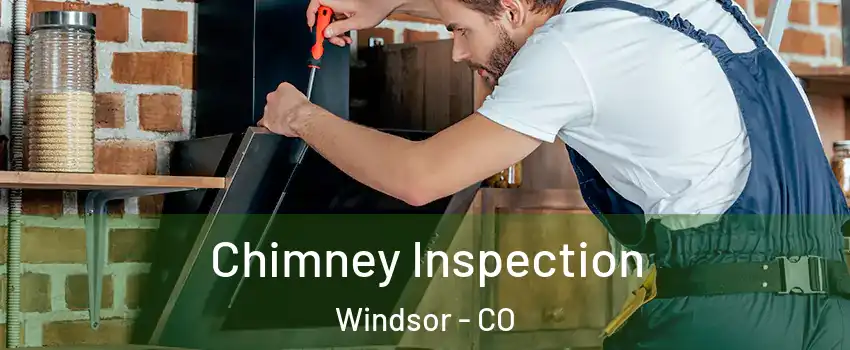  Chimney Inspection Windsor - CO
