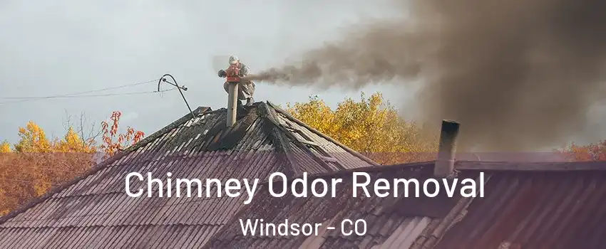  Chimney Odor Removal Windsor - CO