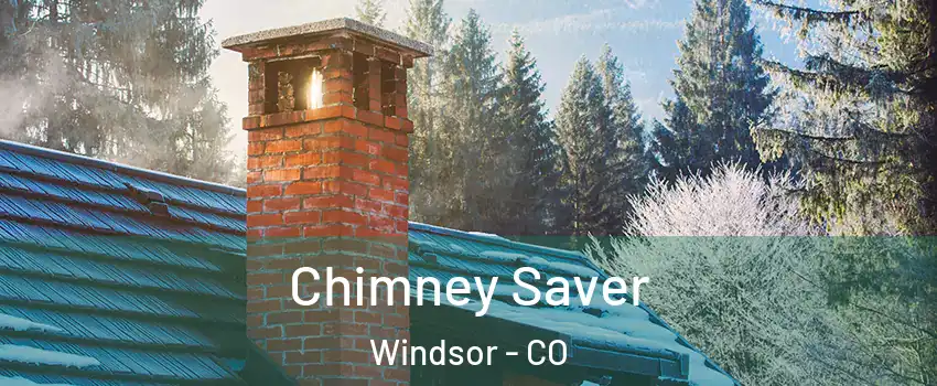  Chimney Saver Windsor - CO