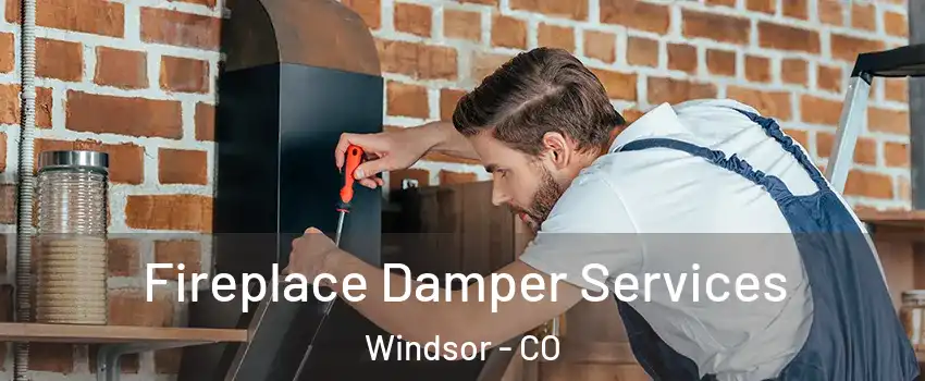 Fireplace Damper Services Windsor - CO