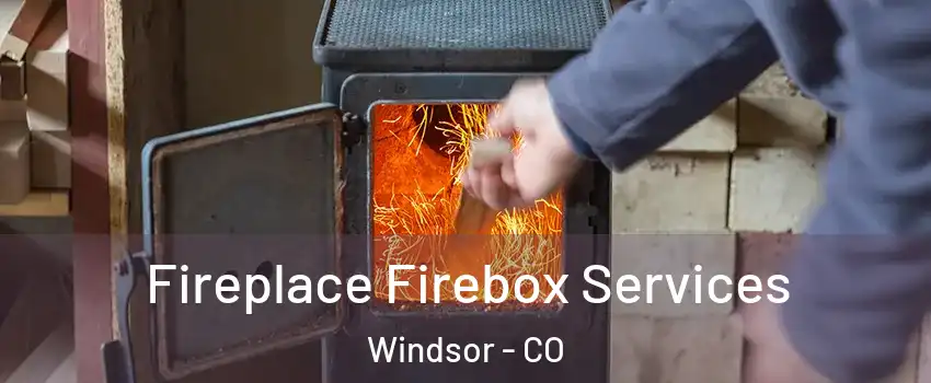  Fireplace Firebox Services Windsor - CO