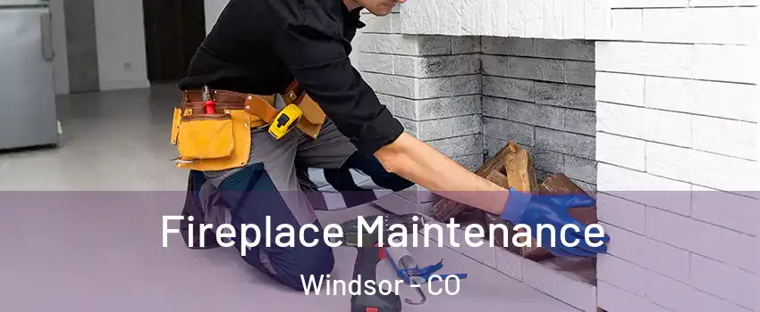  Fireplace Maintenance Windsor - CO