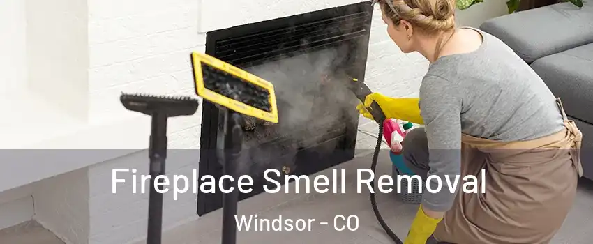  Fireplace Smell Removal Windsor - CO