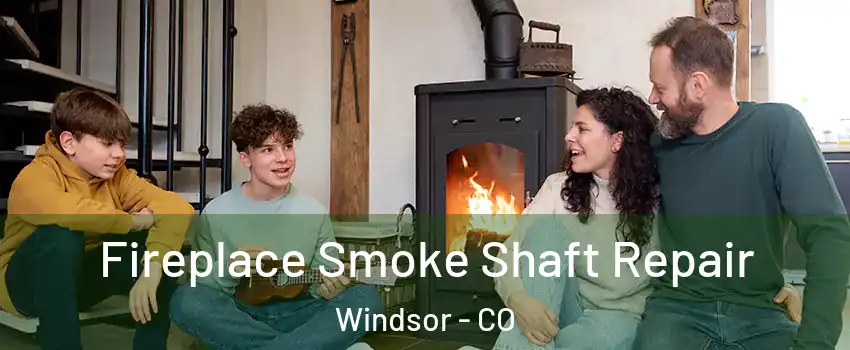  Fireplace Smoke Shaft Repair Windsor - CO