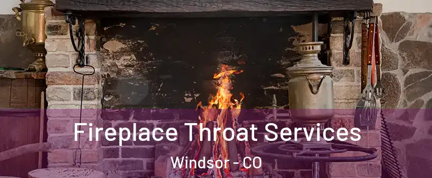  Fireplace Throat Services Windsor - CO