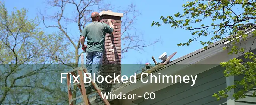  Fix Blocked Chimney Windsor - CO
