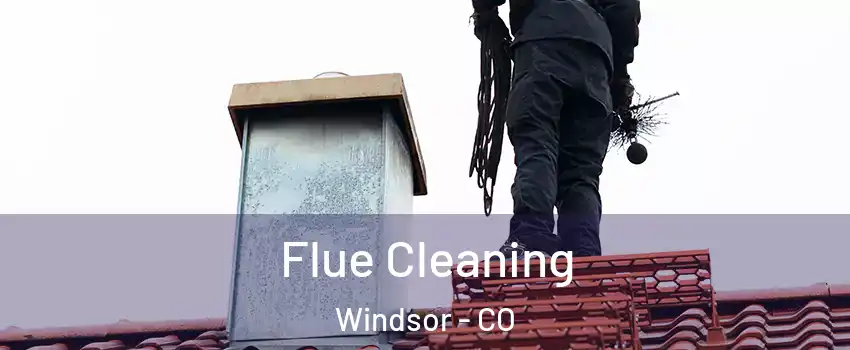  Flue Cleaning Windsor - CO
