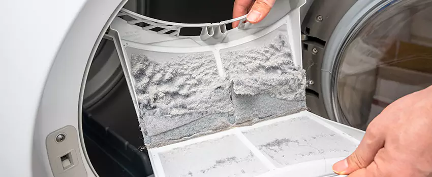 Best Dryer Lint Removal Company in Windsor, Colorado