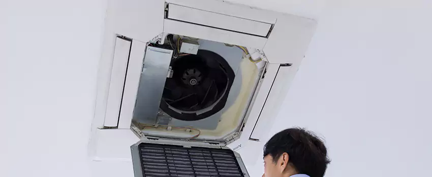 Benefits of Professional Air Duct Cleaning in Windsor, Colorado