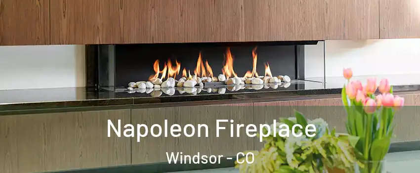  Napoleon Fireplace Windsor - CO