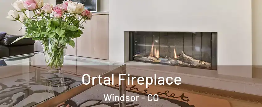  Ortal Fireplace Windsor - CO