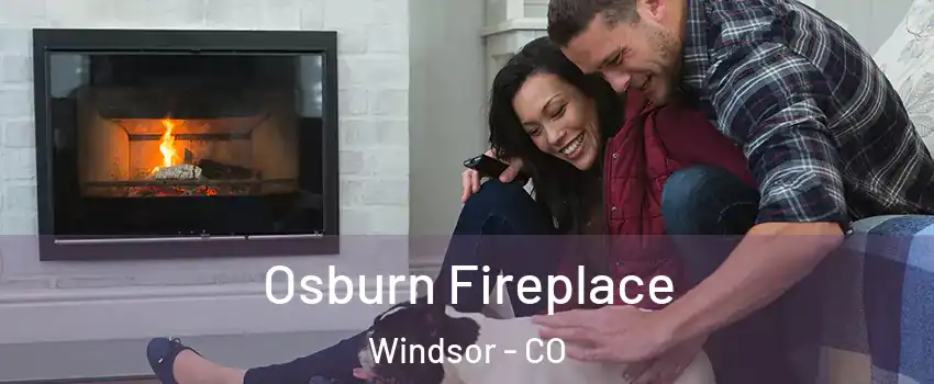  Osburn Fireplace Windsor - CO